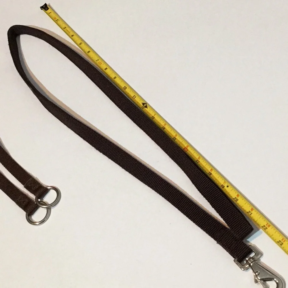 Slip collar & leash, sturdy nylon, brown color, 1” wide, metal hardware